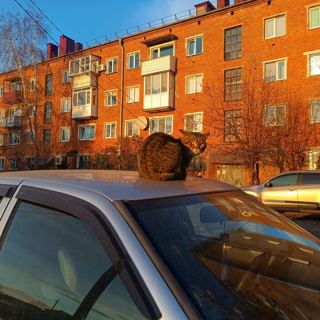 "Бывалый", фото Анастасии Шрамовой