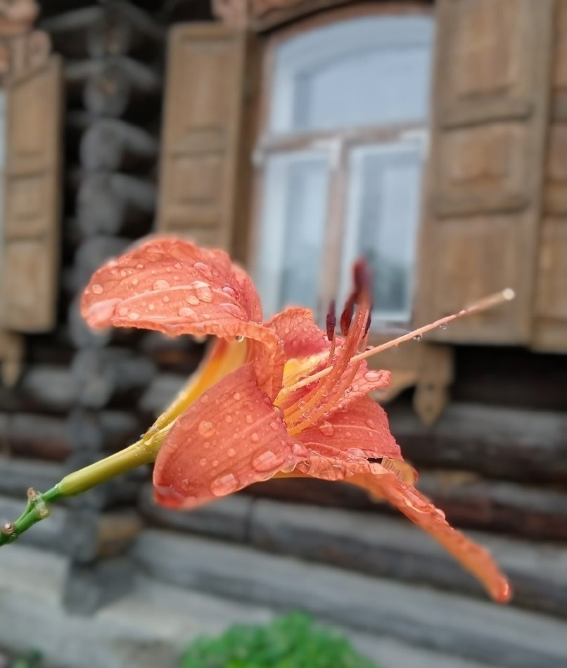 Предзимье
