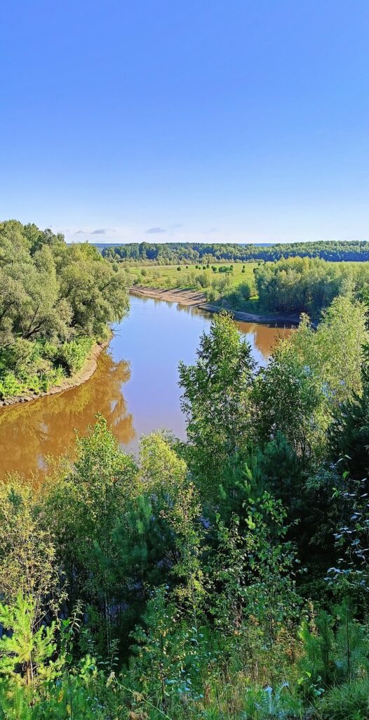 На берегу Тары