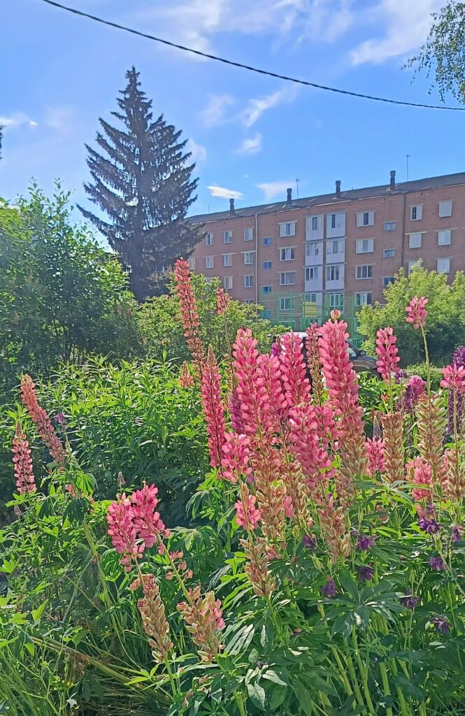 В городе лето