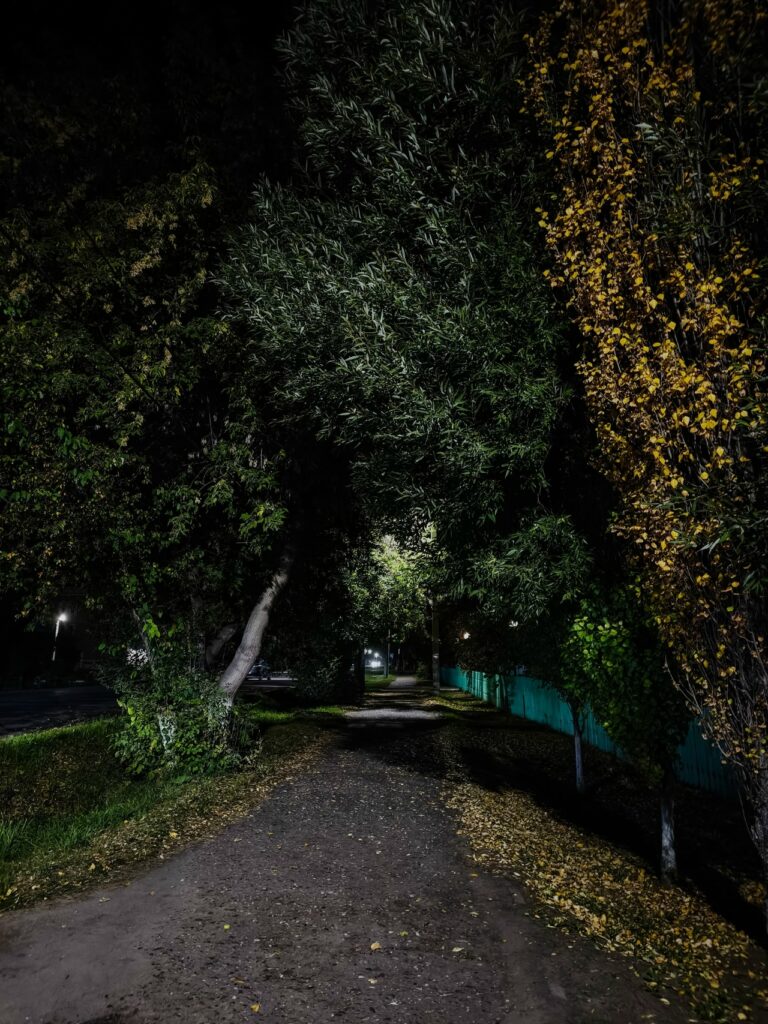Сентябрь, фото Джамили Таштимировой